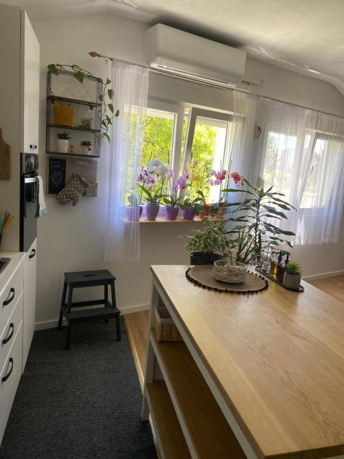 Apartament Apartman Zadar Centar Zewnętrze zdjęcie